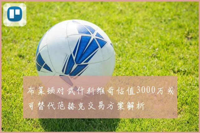 布莱顿对武什科维奇估值3000万或可替代范赫克交易方案解析
