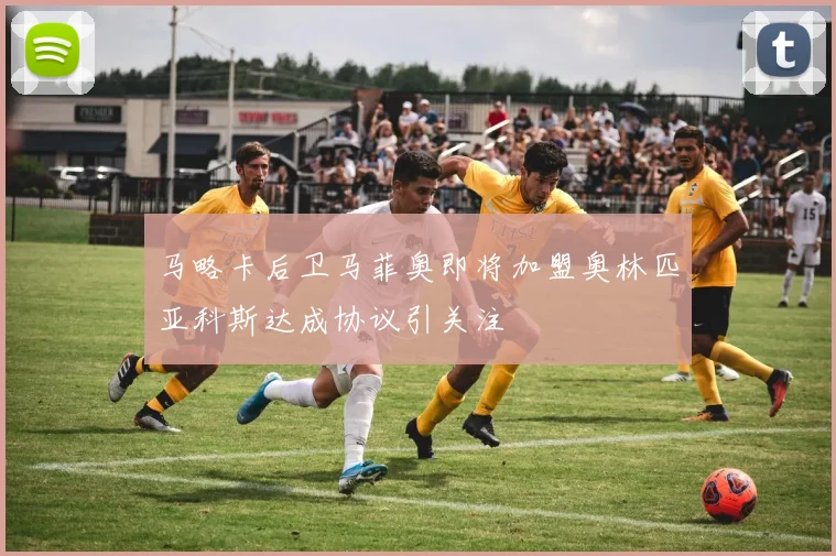 马略卡后卫马菲奥即将加盟奥林匹亚科斯达成协议引关注